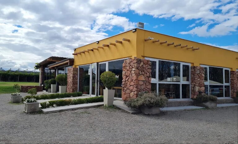 Experiencia gastronómica en el Valle de Uco: almuerzo maridado con vinos orgánicos en Jean Bousquet, Gualtallary.
