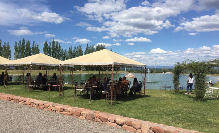 Turistas disfrutando de un almuerzo gourmet frente a la Cordillera de los Andes en el tour de bodegas de Decanter.