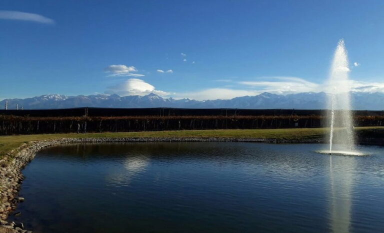 Gastronomía regional y vinos de alta gama en el almuerzo de 3 pasos del tour Sabores de Altura por Mendoza.