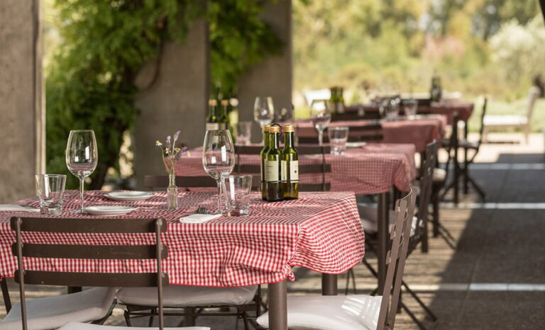 Tour El Enemigo & Zuccardi en Mendoza: degustación y almuerzo gourmet maridado